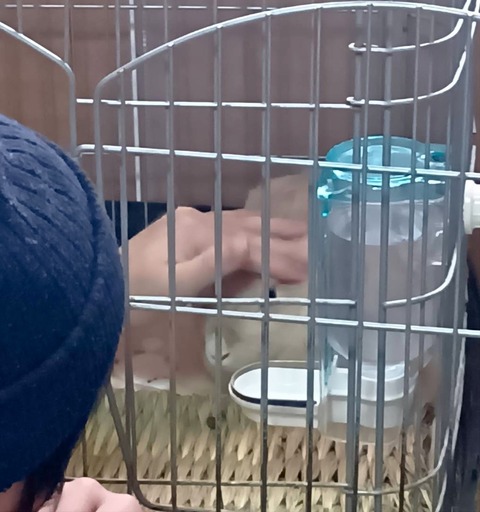 2025-12-06-01-24-15-408