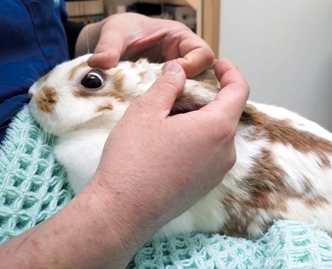 2025-05-08-00-09-49-171