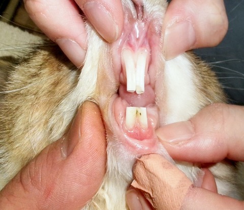 2025-05-08-00-20-38-398