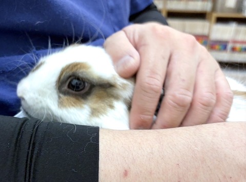 2025-05-08-00-23-23-154