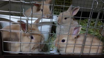 DSC_1427_convert_20230219050443