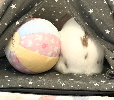 2025-12-06-01-15-56-565