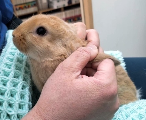 2025-05-08-00-10-42-031