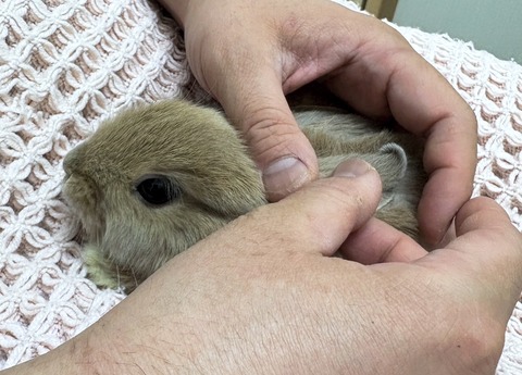 2025-05-08-00-30-17-132