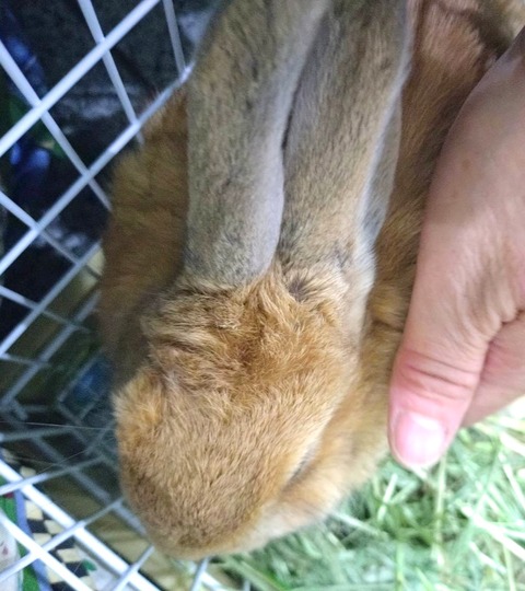 2025-05-08-00-09-09-731