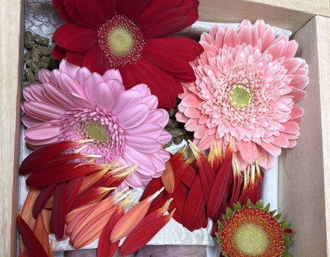 2025-04-16-19-22-16-389