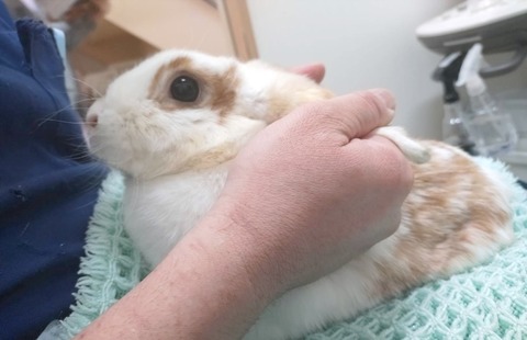 2025-04-16-17-20-04-191