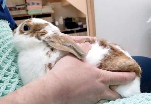 2025-05-07-23-55-57-891