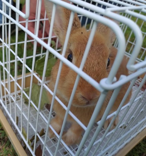 2025-11-03-20-28-31-056