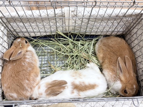 2025-05-08-00-21-43-726