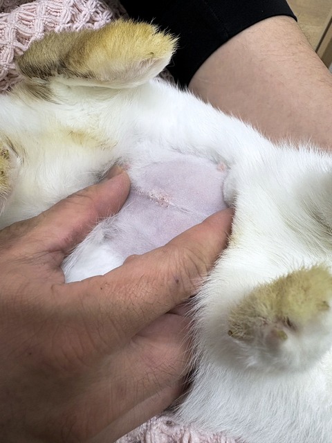 2025-02-03-01-12-12-668