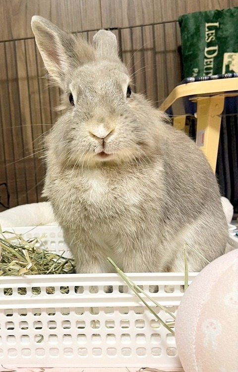 2024-07-27-17-47-19-366