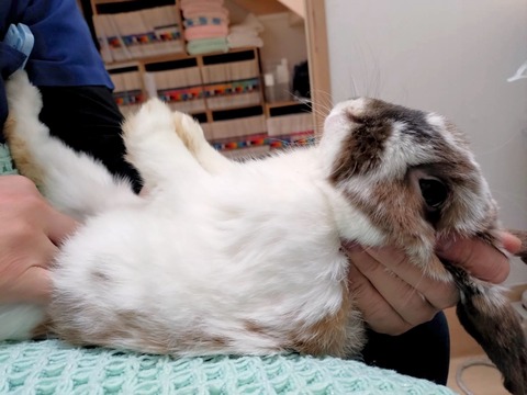 2025-05-07-23-54-04-174