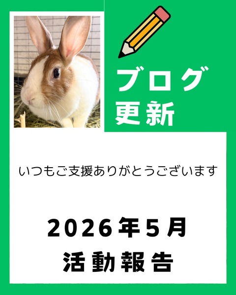 2026年5月の活動報告 : for the RABBIT【保護うさぎの里親探し】