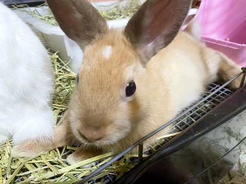 2024-08-25-23-47-36-232