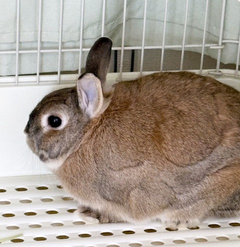 2025-05-08-00-05-27-032