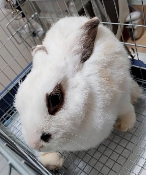 2025-03-11-16-43-20-689