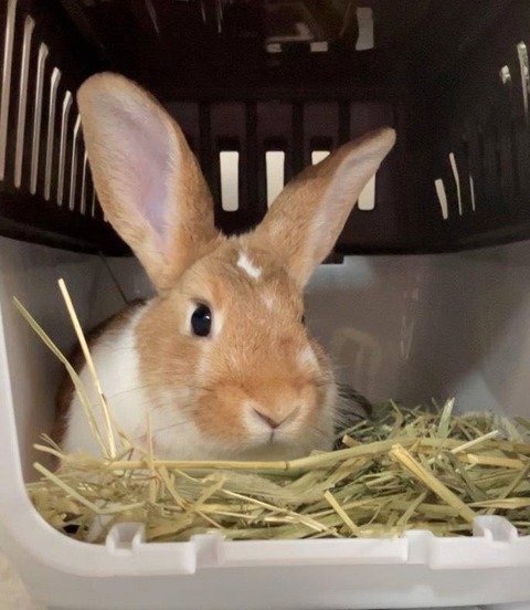 2025-12-06-01-24-49-056