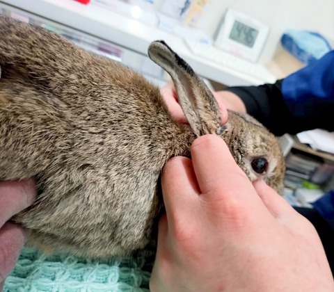 2025-04-16-17-21-06-341