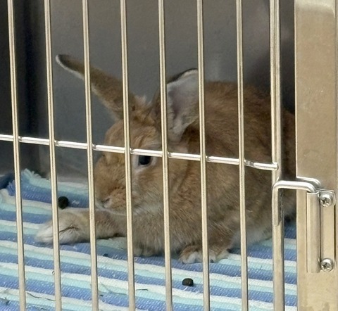 2025-12-06-01-12-24-479