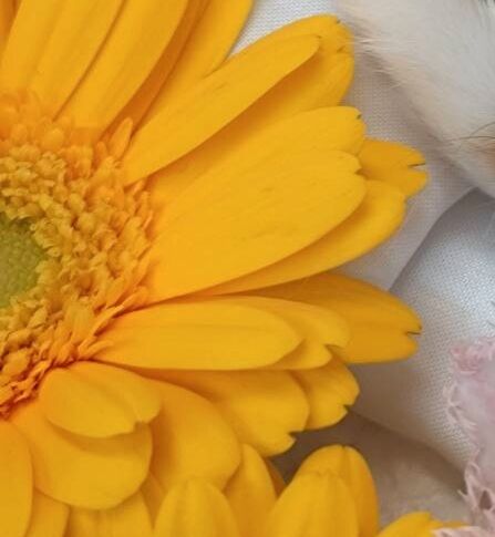 2025-05-07-23-59-45-579