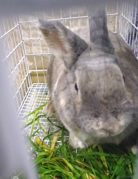 2025-05-08-00-08-24-570