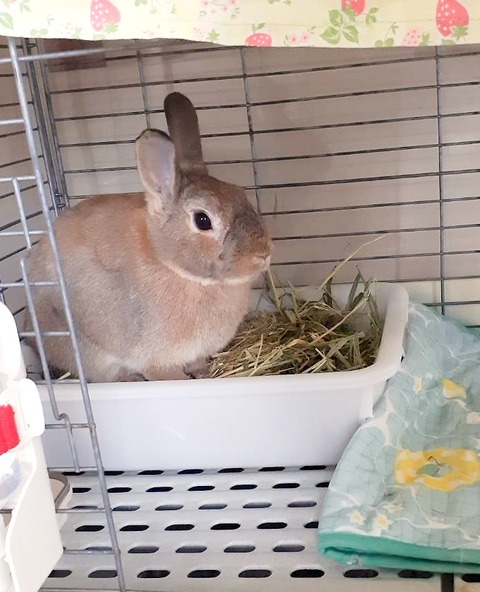 2024-08-02-16-57-39-910