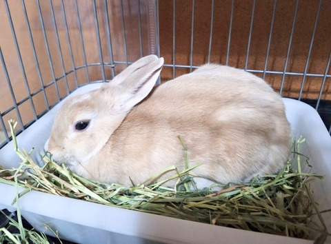 2025-12-06-01-23-38-001