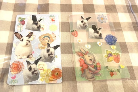 2024-07-27-17-45-16-339