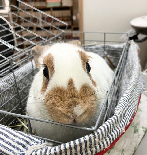 2025-12-06-00-58-16-482