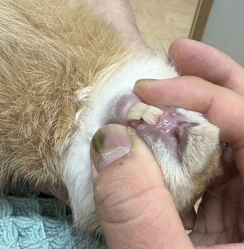 2025-12-06-01-18-33-406