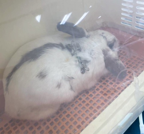 2025-05-08-00-46-58-593