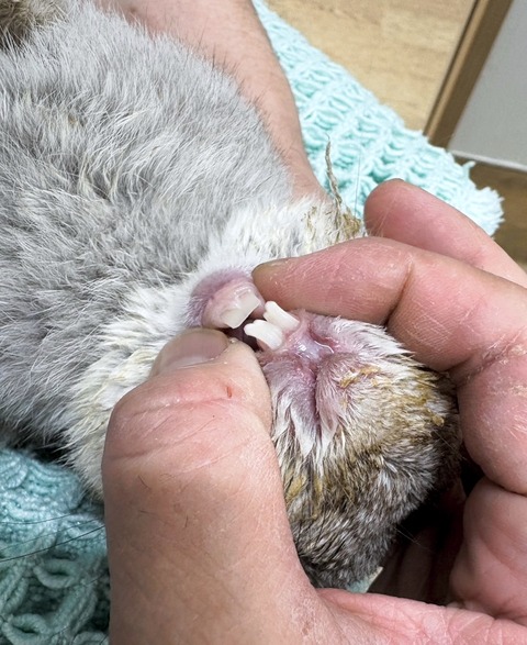 2025-05-07-23-52-58-616