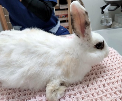 2025-04-16-17-15-38-557