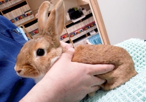 2025-04-16-17-29-03-443