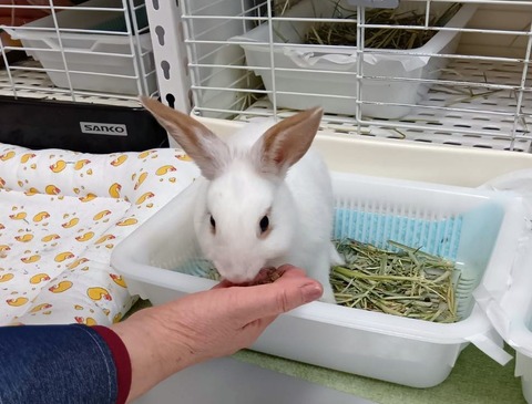 2025-05-08-00-40-17-370