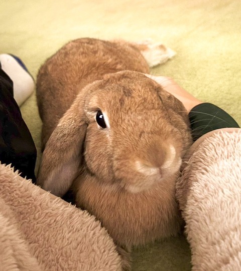 2025-12-06-00-56-31-176