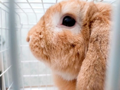 2024-07-27-17-25-34-545