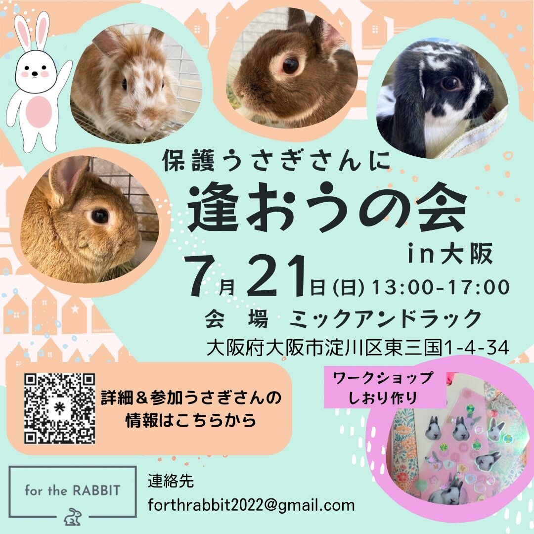 うさぎさん専用ページ うさぎ。ページ うさぎページ うさ@ページ まっきーページ The ZX Mechtrum