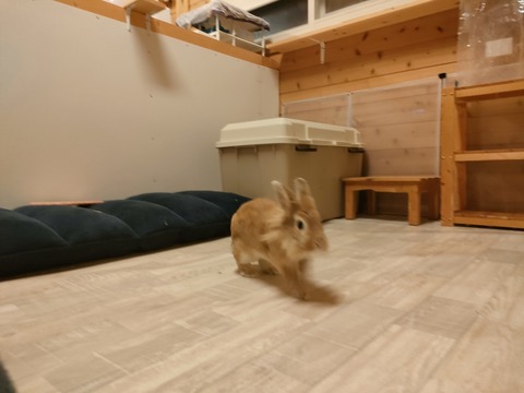 IMG20230123191657
