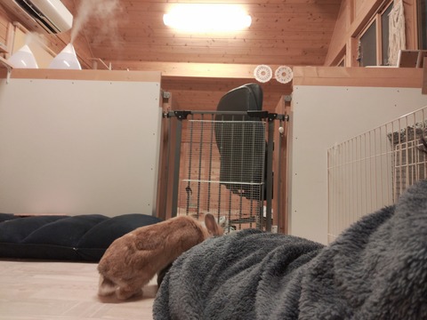 IMG20230123191335