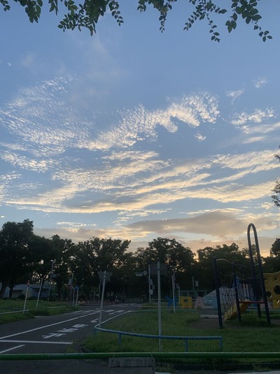 1E6B8B2B-DDC3-4C07-9D1F-ABBF87B94277