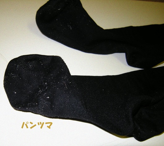 54d955e6.jpg