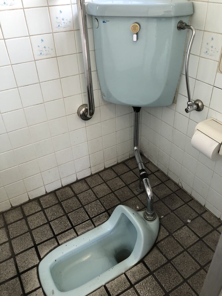 ぼっとんトイレ顔出し盗撮 