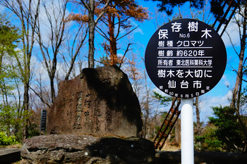 200414-10