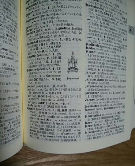 新スタンダード仏和辞典 デスク版が届きました : 占い師の暦と暮らし