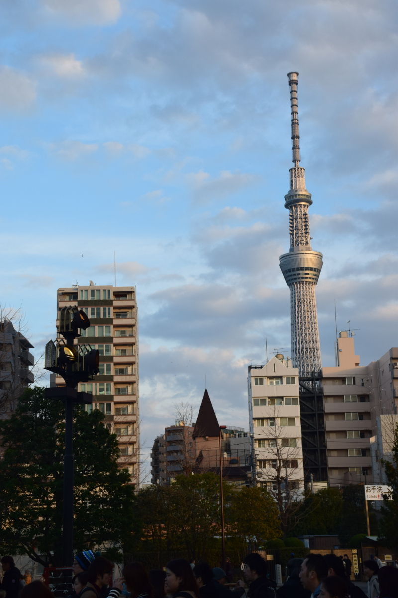 16 01 15 17 浅草 東京ディズニーリゾート旅行 沖縄に移住したので日記でも 16 01 15 17 浅草 東京ディズニーリゾート旅行 沖縄に移住したので日記でも