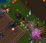 ̵�ºפ�������