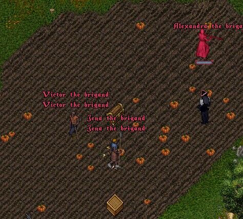 2025y10m12d_113525504