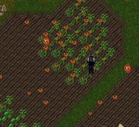 2025y10m12d_113928028